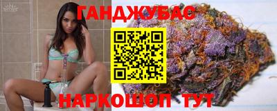 гидра Краснознаменск