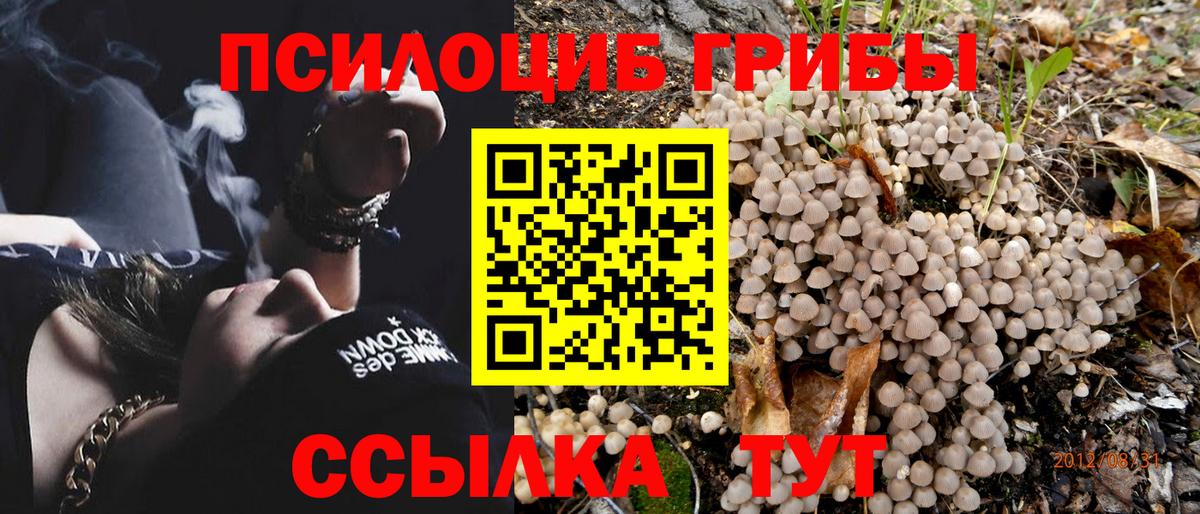 Галлюциногенные грибы Magic Shrooms Ульяновск