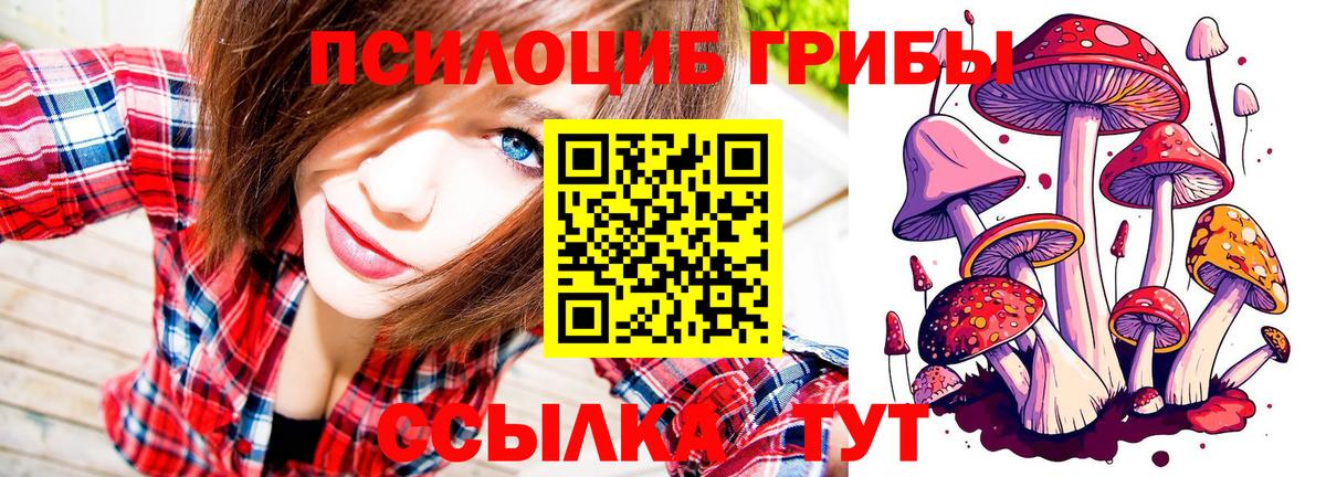 Ульяновск  Псилоцибиновые грибы прущие грибы  Вход с VPN 