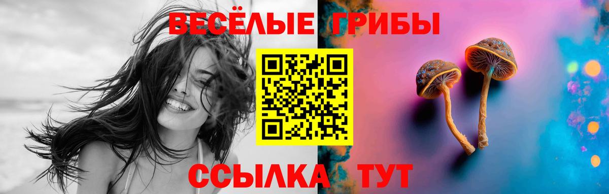 Галлюциногенные грибы Psilocybe Ульяновск