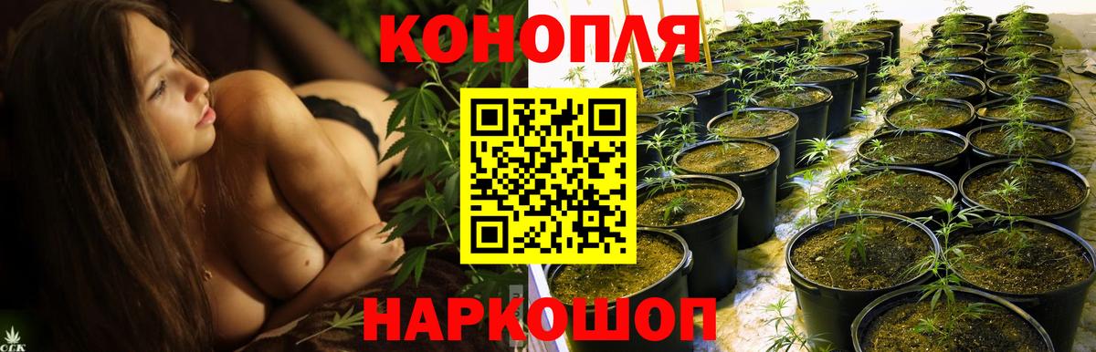 Ульяновск  Шишки марихуана Ganja  МАРИХУАНА Amnesia  Вход с VPN  Бошки марихуана тримм 